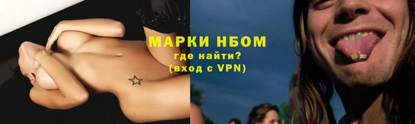 крисы Арсеньев