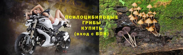 стафф Армянск
